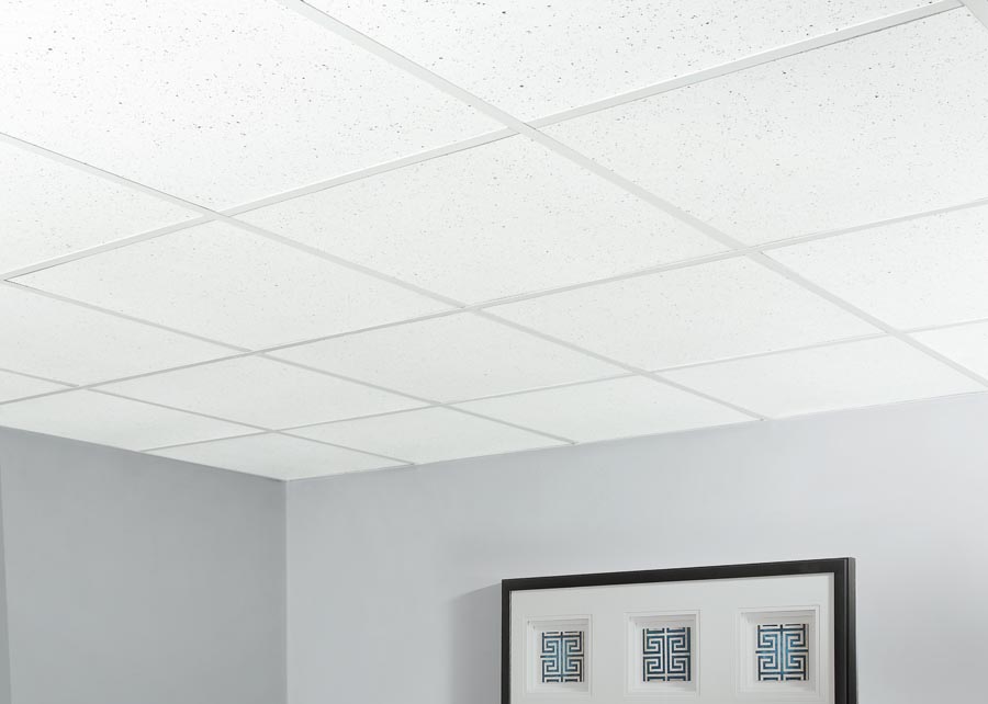 Recycled Ceiling Panel 2x2 in Flecked Installed Genesis Ceiling Panels