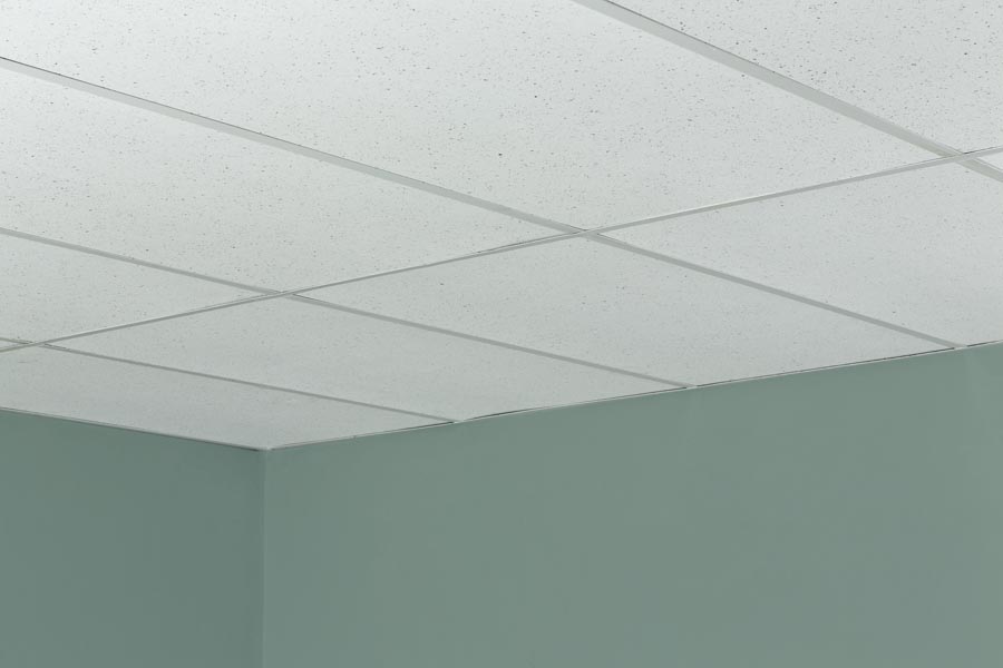 Recycled Ceiling Panel 2x4 in Flecked Installed Genesis Ceiling Panels