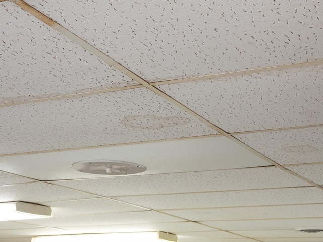 Van Lanen Ceiling- before
