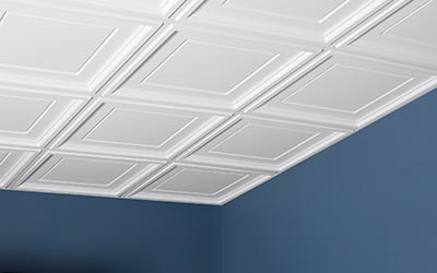 Designer Series Panels Genesis Ceiling Panels