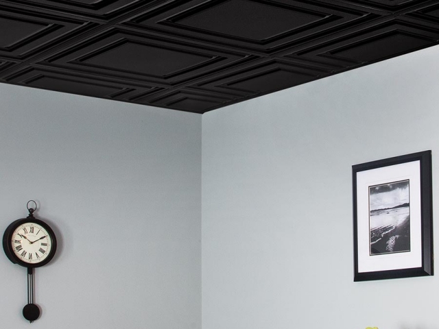 Icon Relief panel in black - installed